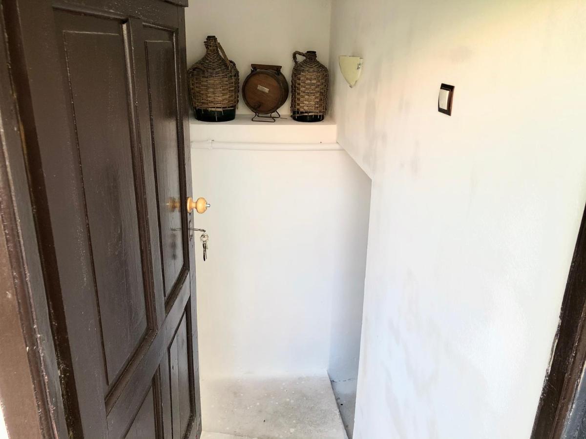 Apartment Provence 乌日霍罗德 外观 照片